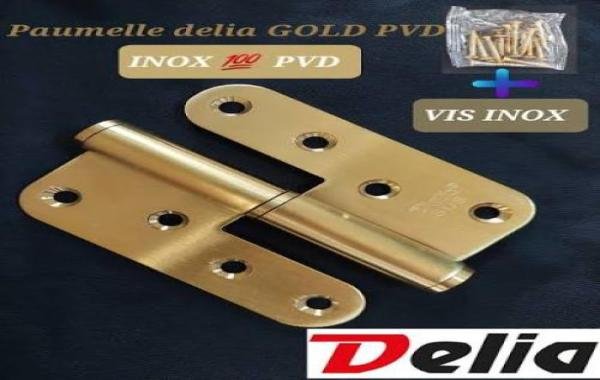 Paumelle en inox 100 G DELIA