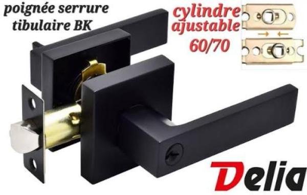 Serrure tibulaire T2023 SN DELIA